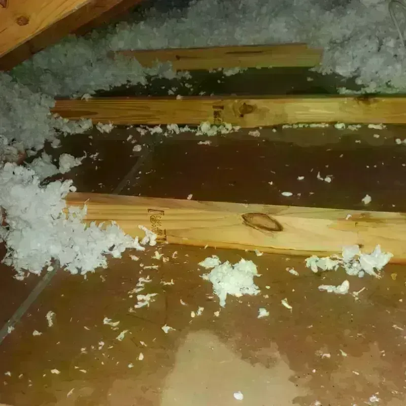 Attic Water Damage in Rushville, IN